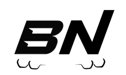 BimmerNetwork logo
