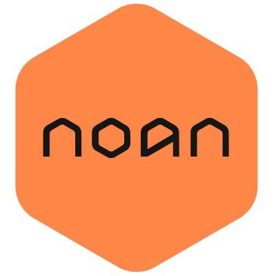 NOAN logo